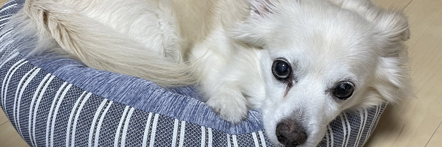 peach_380's profile banner image