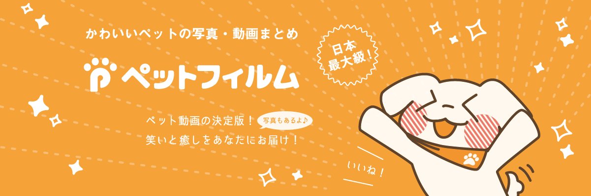 PetFilm's profile banner image