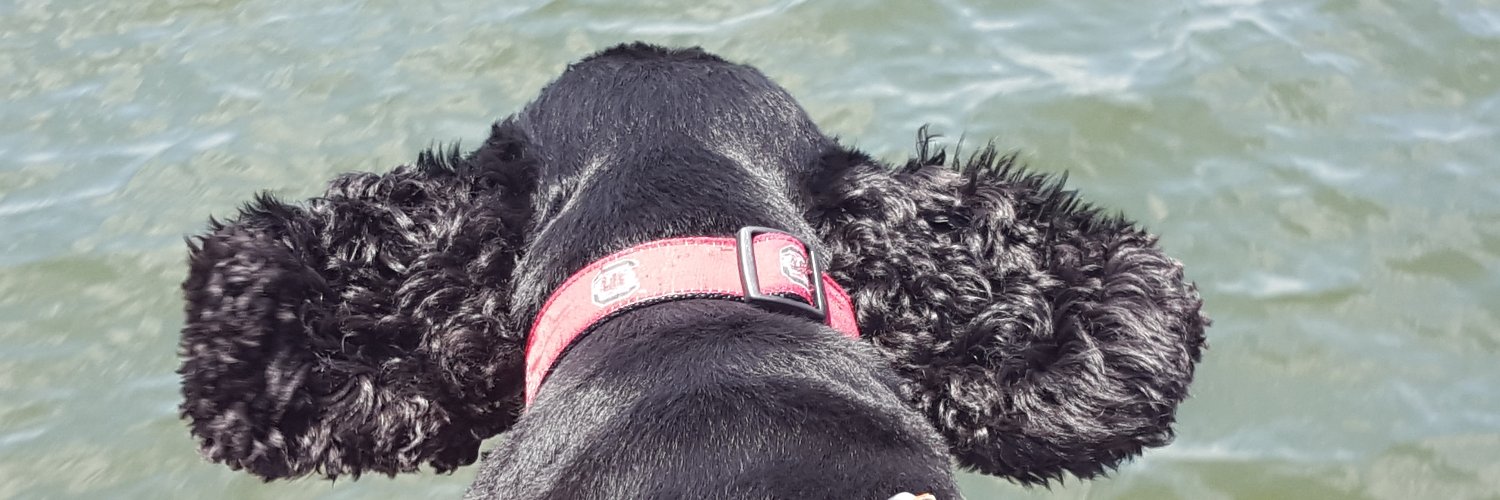 CamGandy's profile banner image