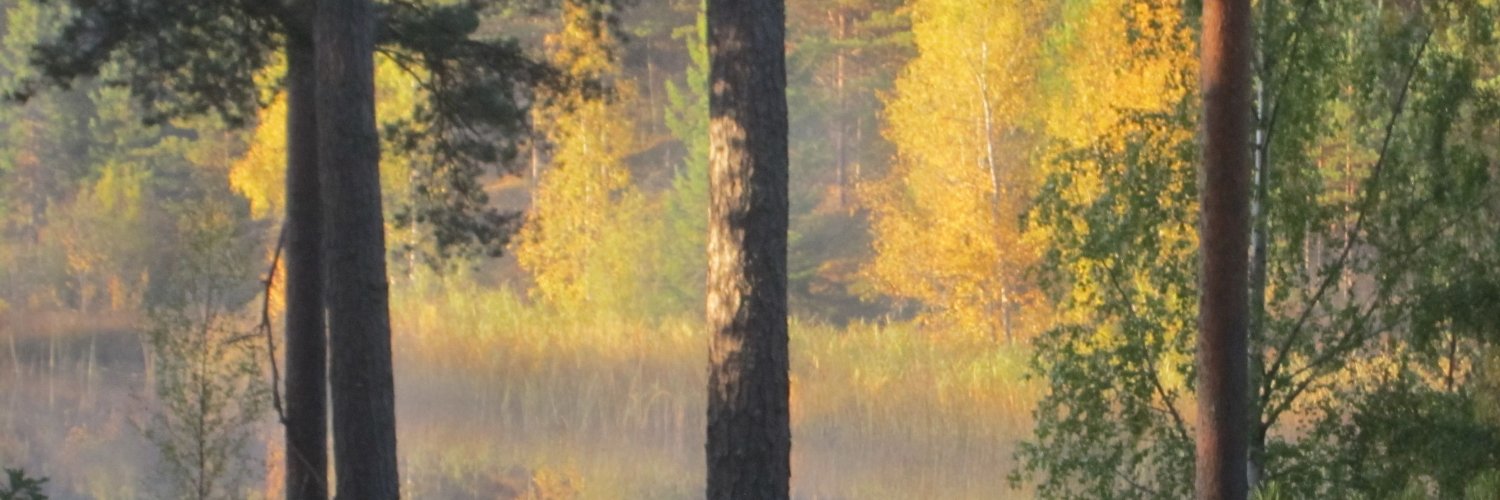 rolffred's profile banner image