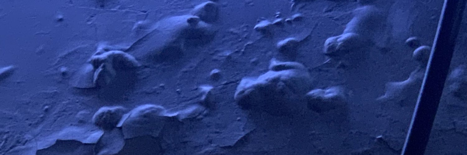 widi wardani purnama banner