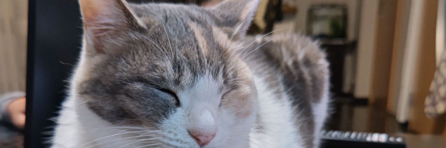 ffy4400's profile banner image