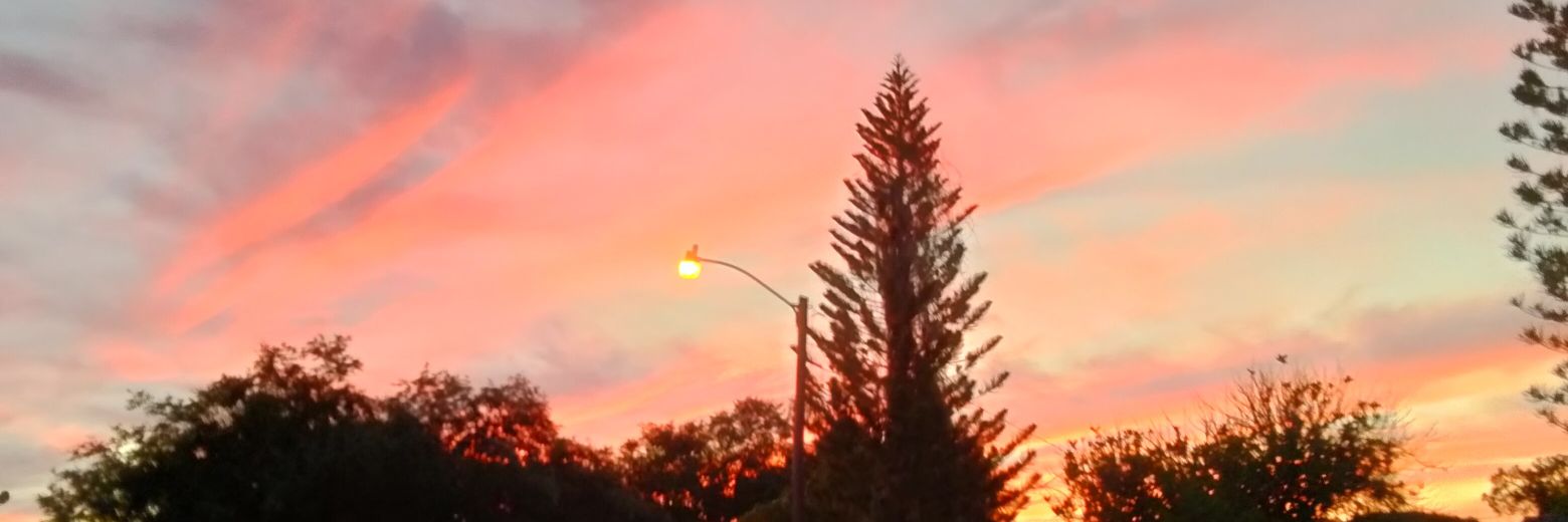 Vicky 🌊🇺🇸🌅♏🗽 ⚖️ 🇺🇦 NO DM'S banner