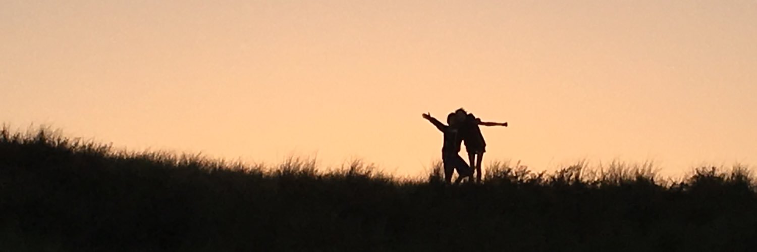 ndevreede's profile banner image