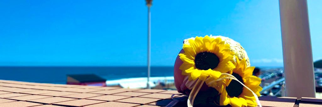 HomuraHito's profile banner image