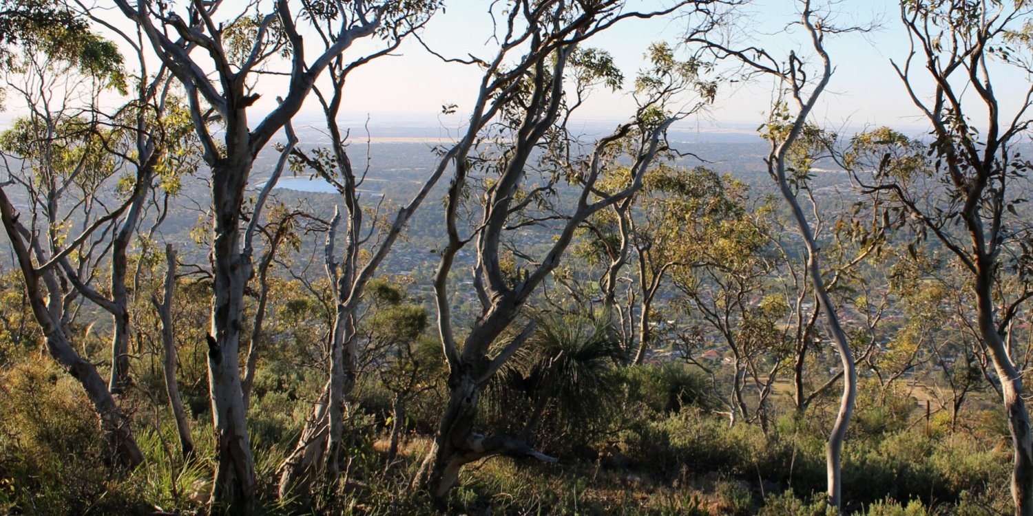 Bio·R Australia banner