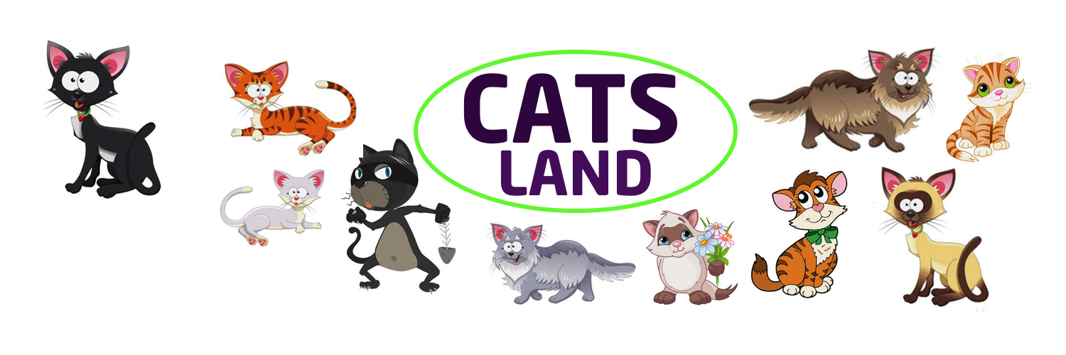cats_land's profile banner image