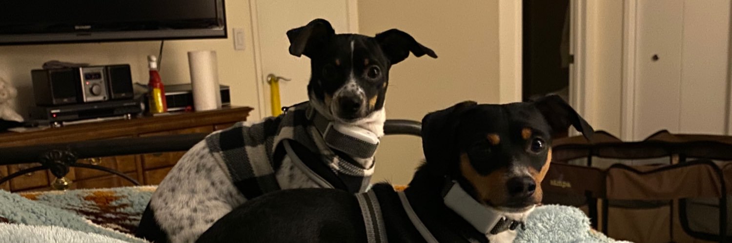 Grammagail's profile banner image