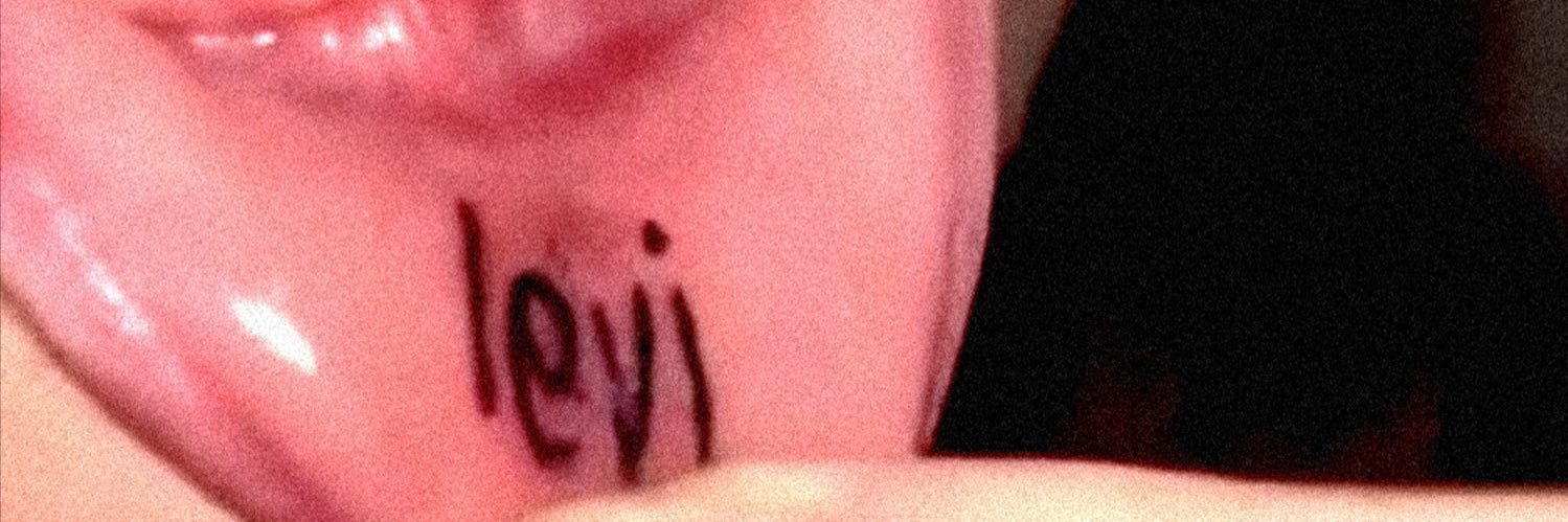 levilowky's profile banner image