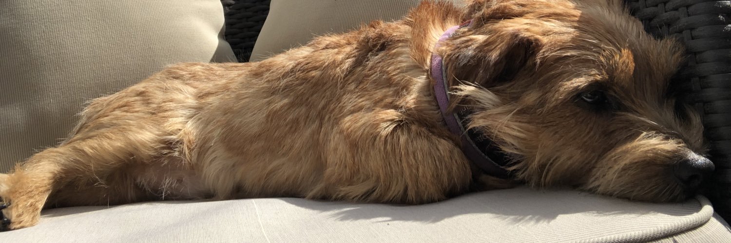 Per Falkenström banner