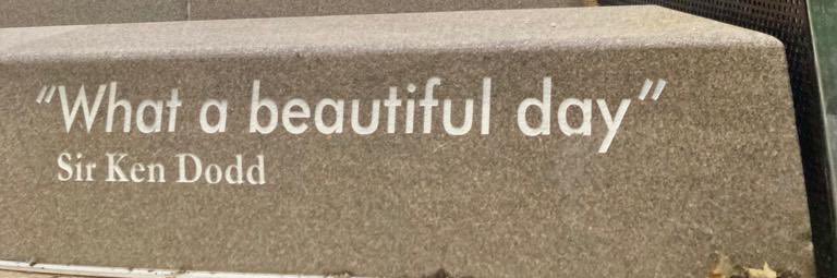 Claire Hamilton banner