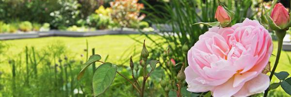 THEPRIM Profile Banner