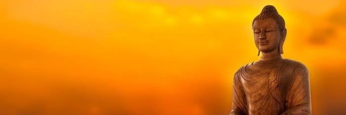 corvibes's profile banner image