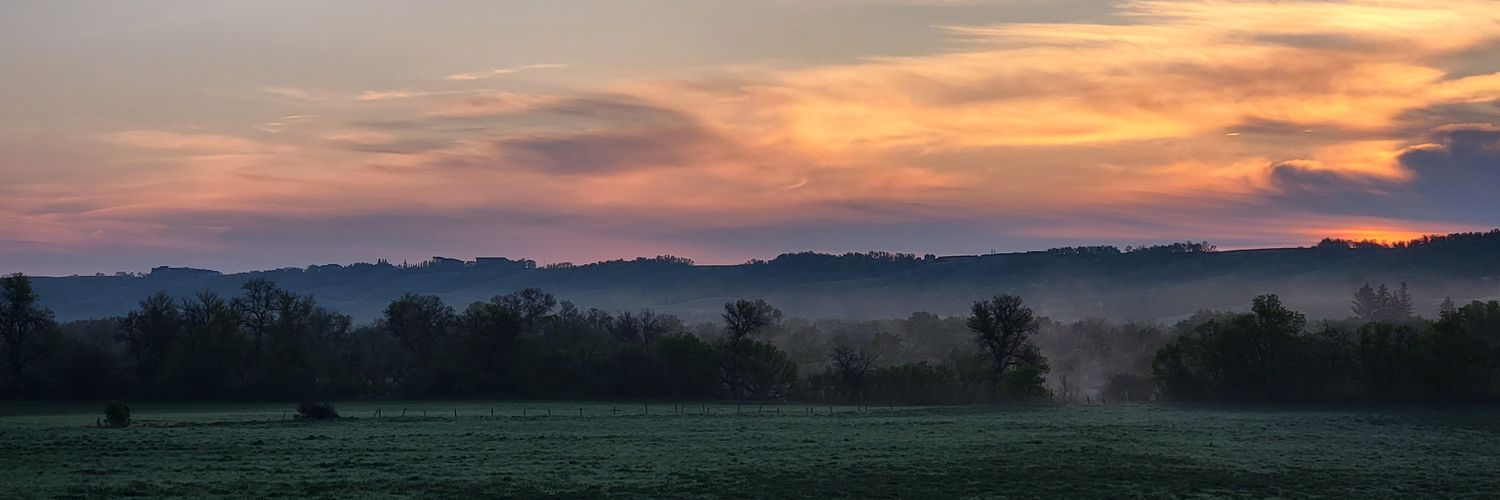 DawneWilson's profile banner image