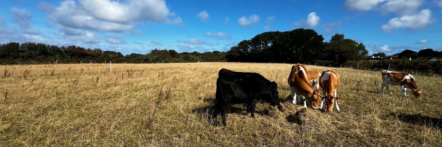 Jock254's profile banner image