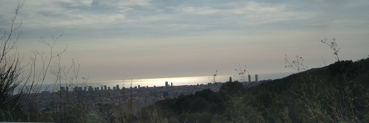 Amalia Llorente banner