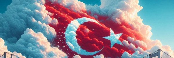 MACE_MERT Profile Banner