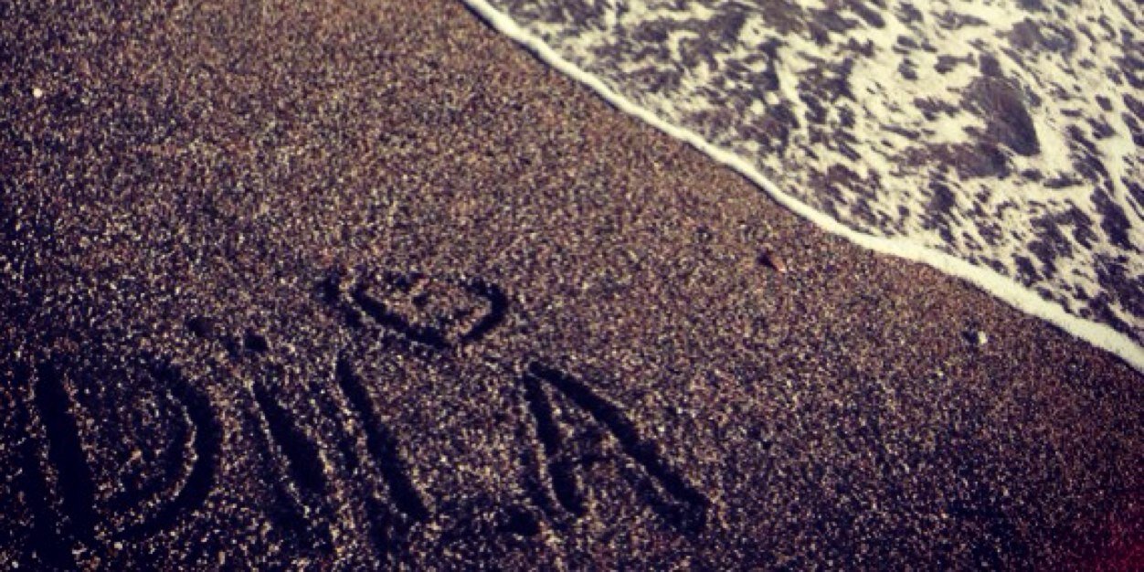 dilayenerr's profile banner image