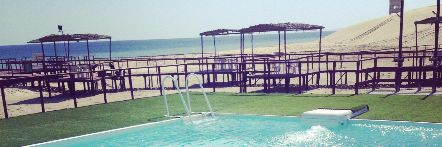 George Dorrington banner