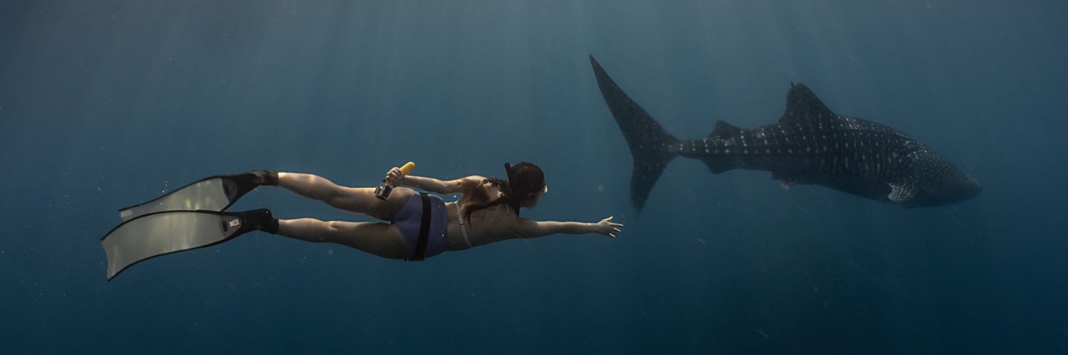 Michelle Christo banner