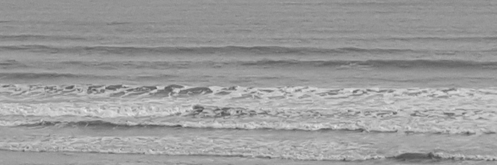 Craig Robinson💙NHS banner