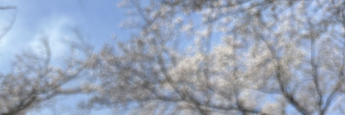 chupachupsnake's profile banner image