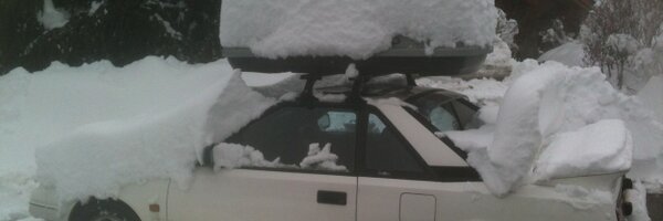 MeribelMole Profile Banner