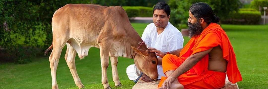ashokelmul's profile banner image
