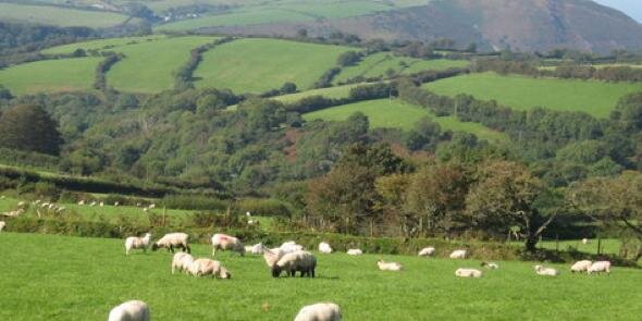 RuralHateCyst's profile banner image