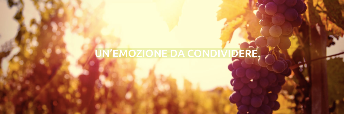 agromobile_it's profile banner image