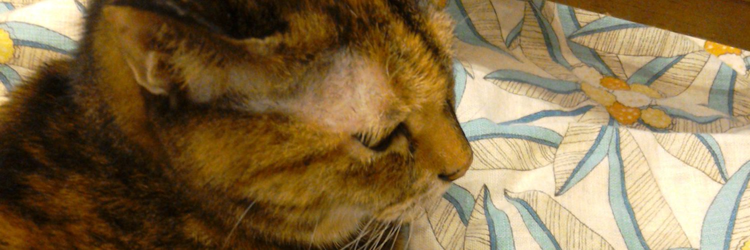 Tigerlily307's profile banner image