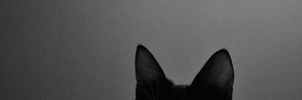 Lunitamya's profile banner image