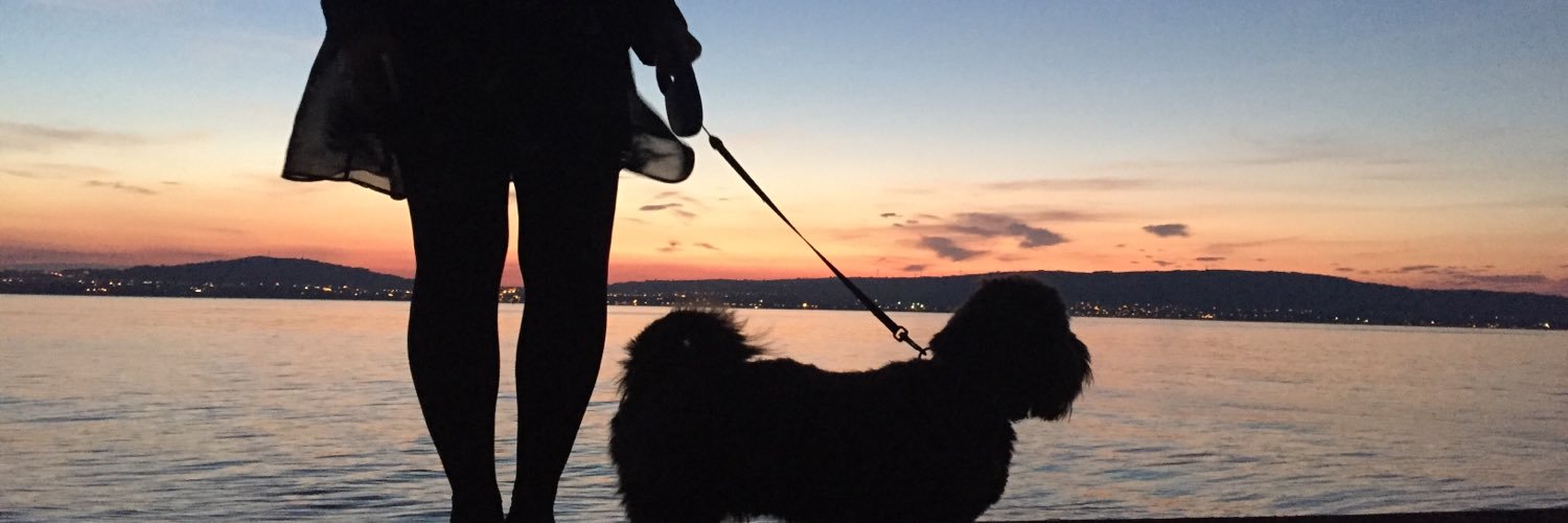 EJLittleLawless's profile banner image