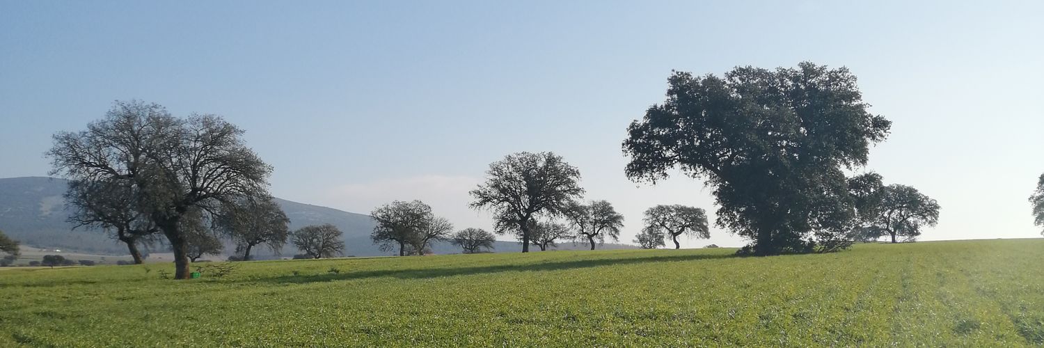 Samuel Sánchez banner