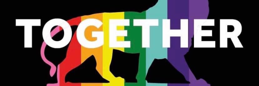 KathAMatthews's profile banner image