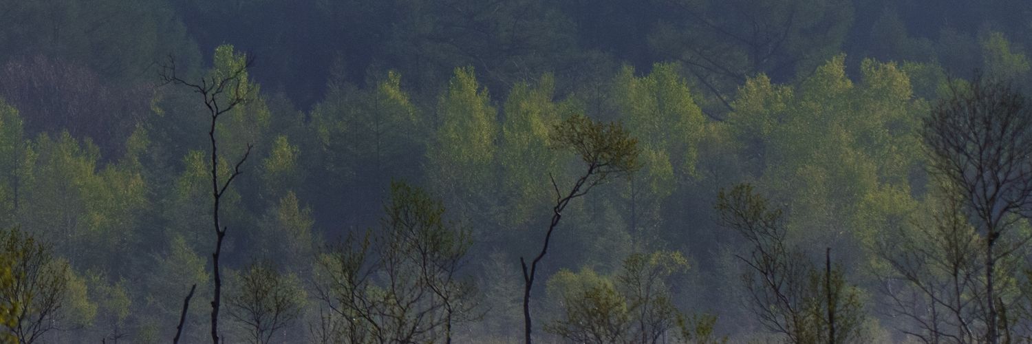 44_ryuji's profile banner image