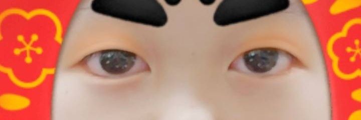 FUTOSHITERAZONO banner