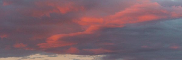 LTandonnet Profile Banner