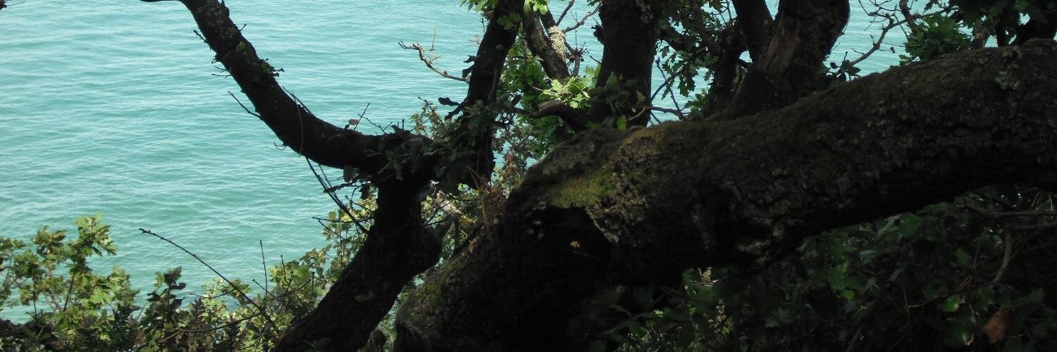 NoiramLec's profile banner image