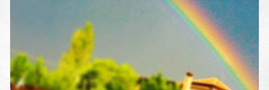 Baruch977's profile banner image