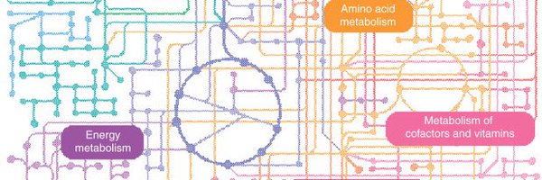 Won_Dong_Lee Profile Banner