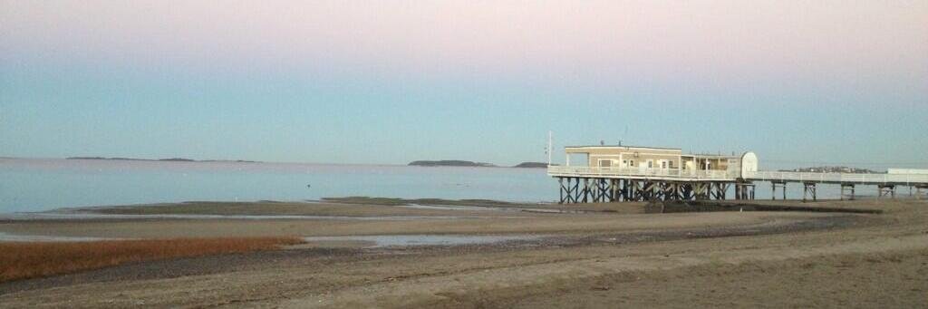 Alyssa Gilmore banner