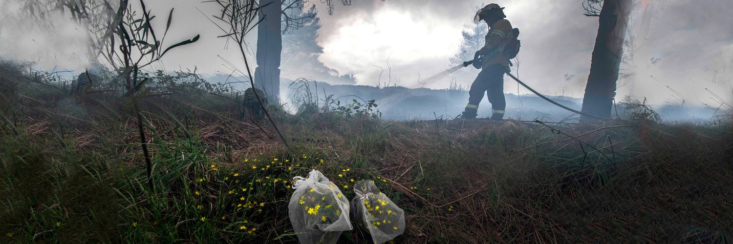 JamesTrezise's profile banner image