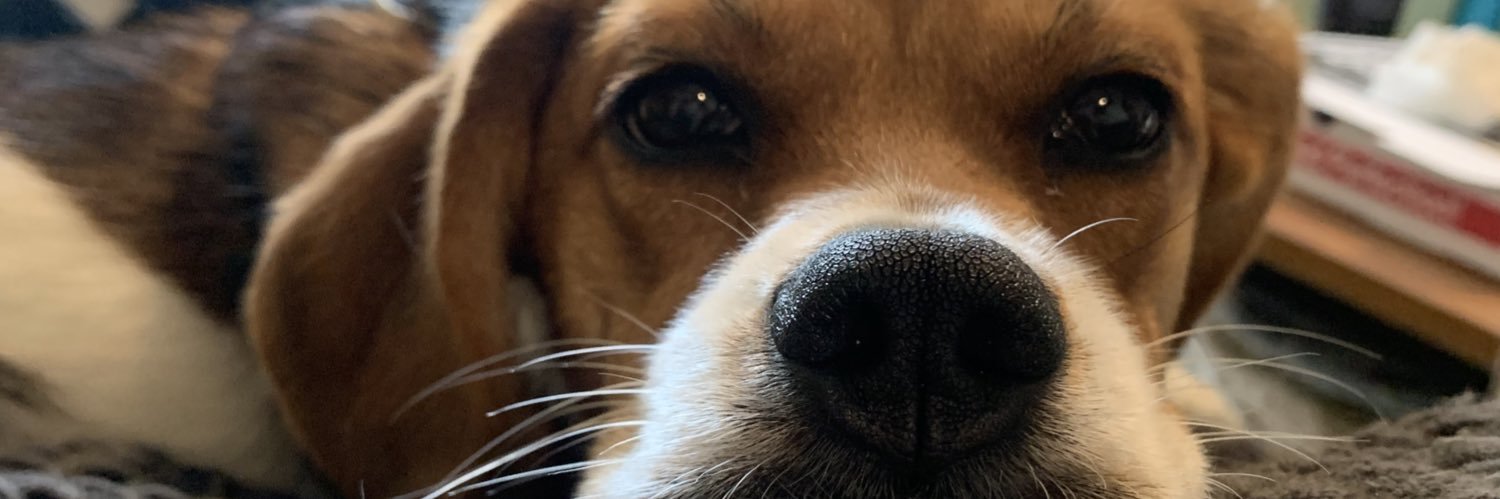 BaileyCreighton's profile banner image