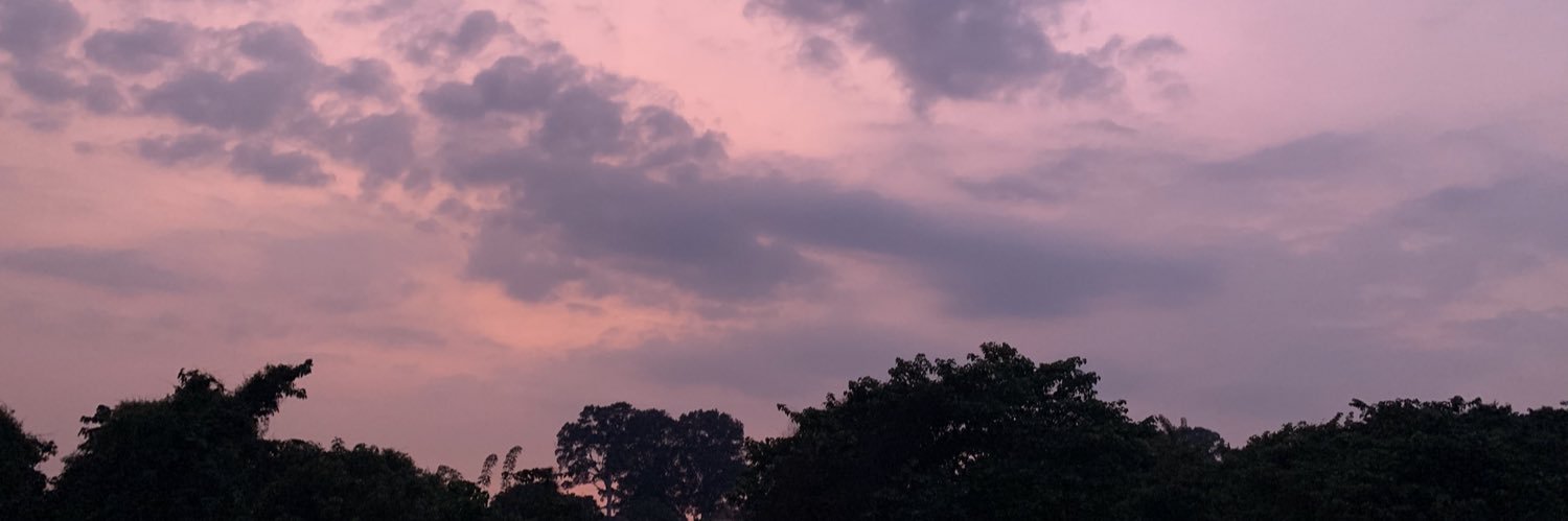 quinzer_'s profile banner image