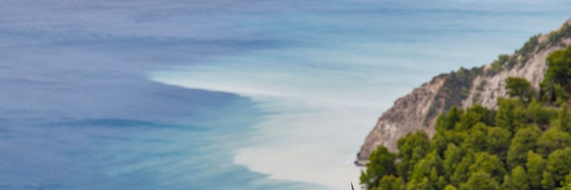 balisafdarian's profile banner image