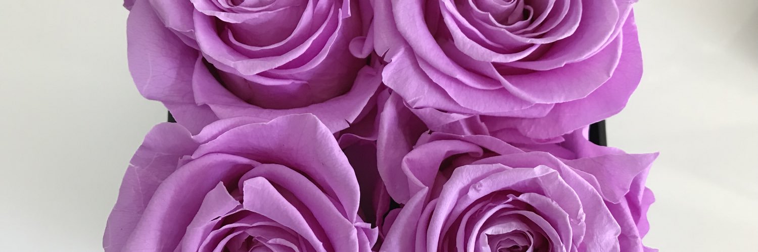 katiegay's profile banner image
