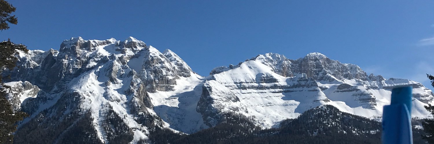 Rafał Brzoska banner