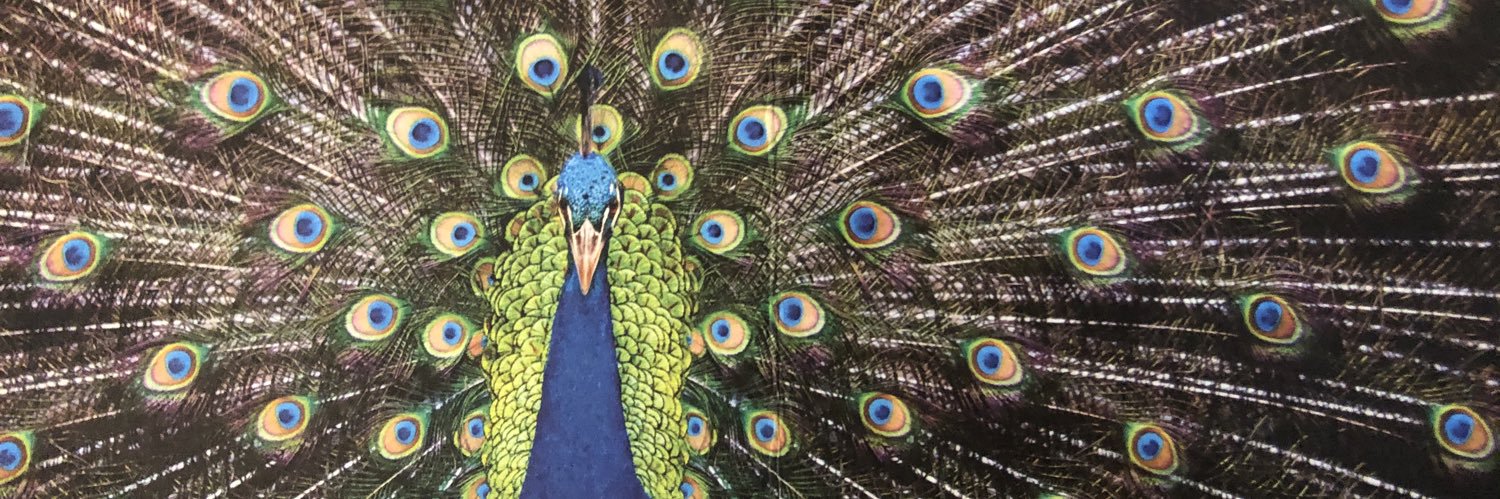 Guusje Korthals Altes banner