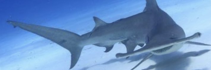 take___shit's profile banner image